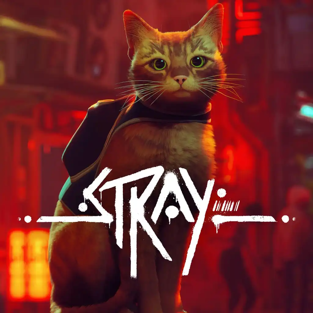 اکانت ظرفیتی Stray