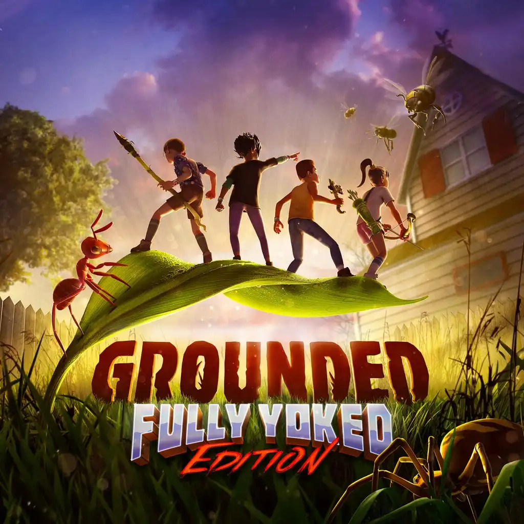 اکانت ظرفیتی Grounded