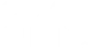 Coatsink Software