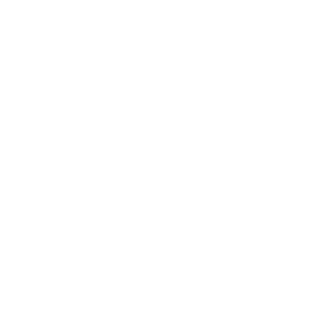 Secret Mode