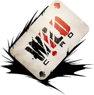 WILDCARD PROPERTIES
